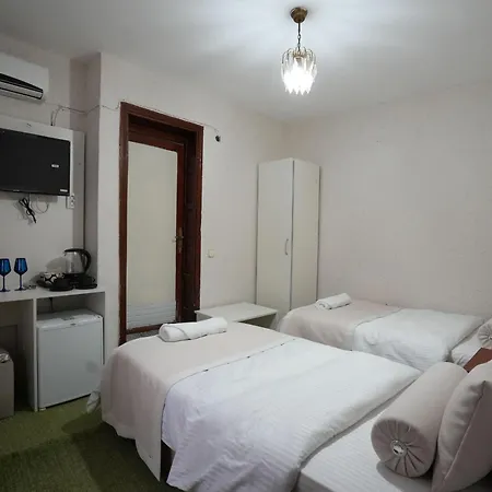 Ozenturku מלון 3*