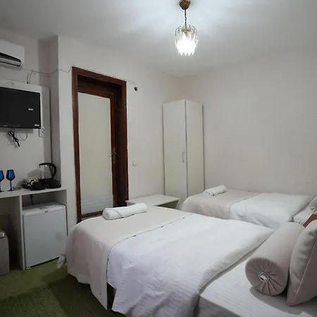 Hotel Ozenturku 3*