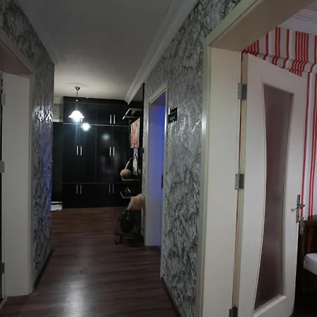 Ozenturku מלון 3*