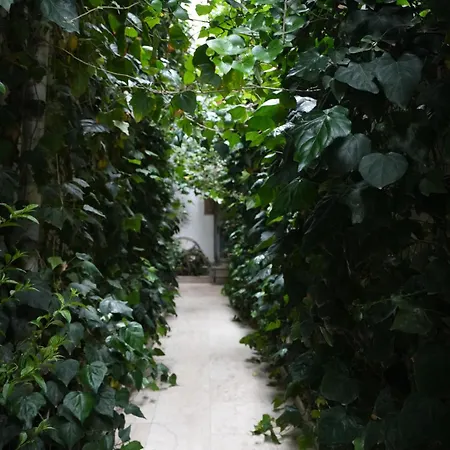 Ozenturku Отель 3*