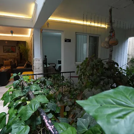 מלון Ozenturku 3*