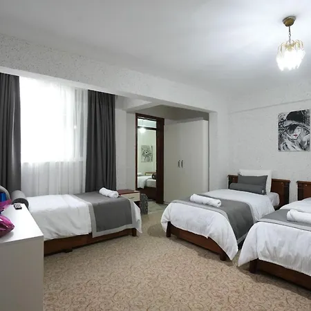 Hotel Ozenturku 3*