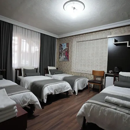 Отель Ozenturku 3*