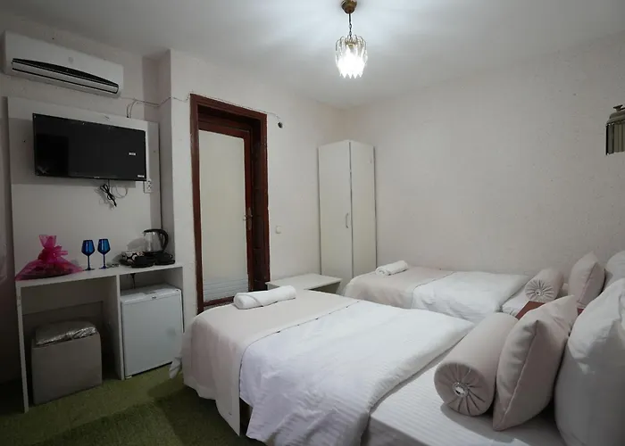 מלון Ozenturku 3*