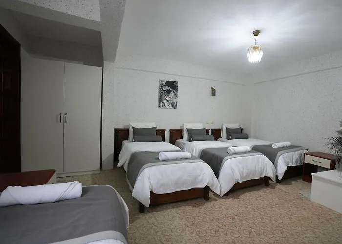 Hotel Ozenturku