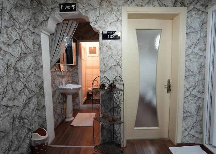 Hotel Ozenturku