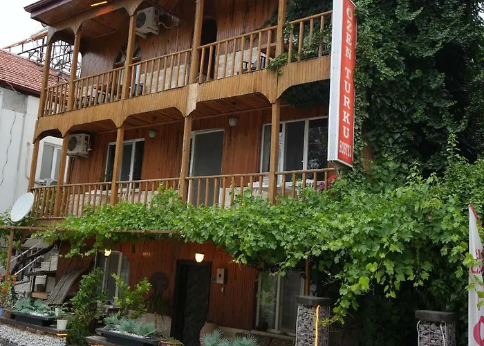 Ξενοδοχείο Ozenturku 3*