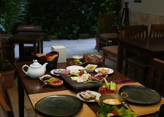 Ozenturku Hotel