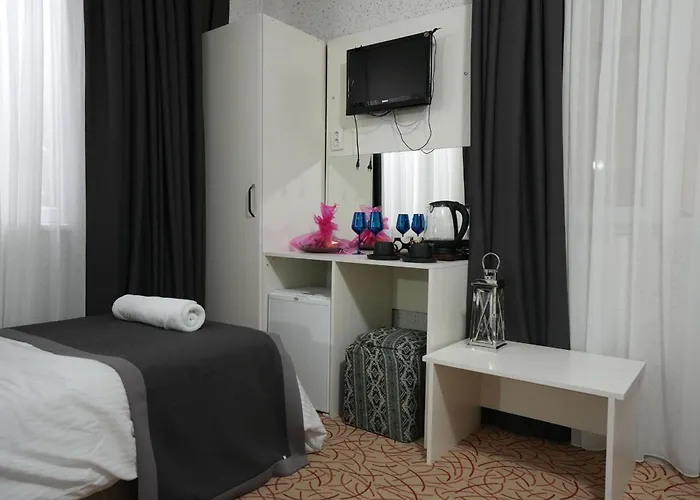 מלון Ozenturku 3*