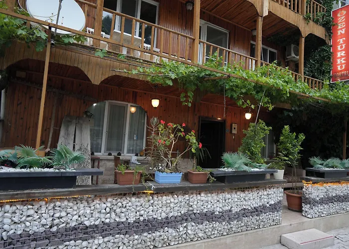 Ξενοδοχείο Ozenturku