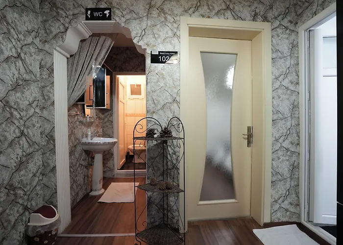 מלון Ozenturku 3*