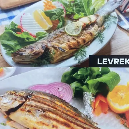 Ozenturku מלון