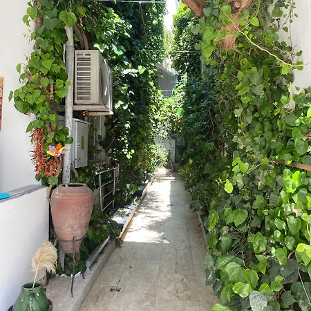 Ozenturku Hotel 3*