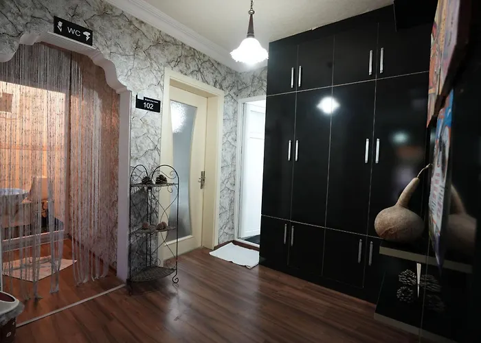 فندق Ozenturku 3*