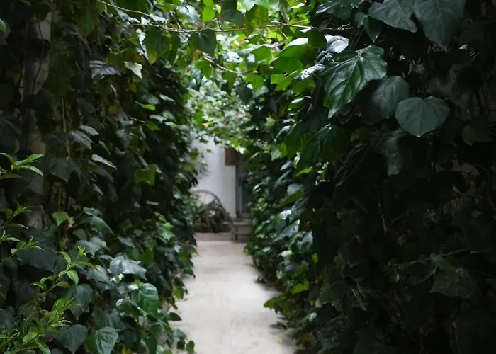 Ozenturku Szálloda 3*