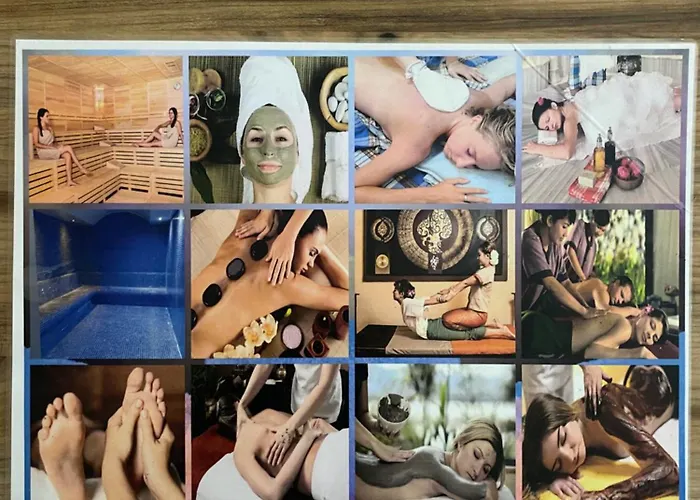 فندق Ozenturku 3*